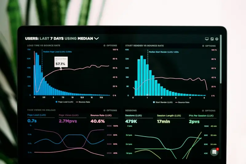 Business Analytics career path visual
